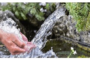 Родниковая правда