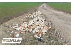 И опять старая песня о строительном мусоре