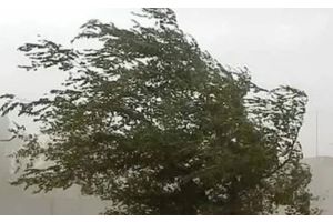 Ситуация с остановочным павильоном в Полочанах