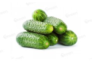 Овощами сыт не будешь?