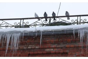 Сосульки и снежные шапки на крышах. О правилах безопасности возле зданий напоминают спасатели