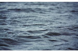 Купаться разрешается!