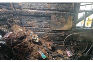 В Молодечненском районе горел жилой дом