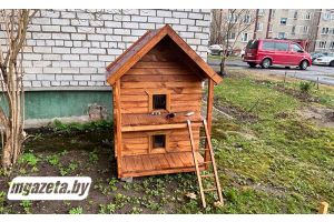 «МГ» заметила: кошачий новострой на Янки Купалы