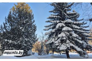 Столбик термометра покажет плюс? Какие температуры прогнозируют синоптики 24 февраля