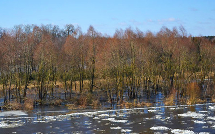 Малооблачно и без осадков. Чем порадует погода 16 марта, рассказали синоптики